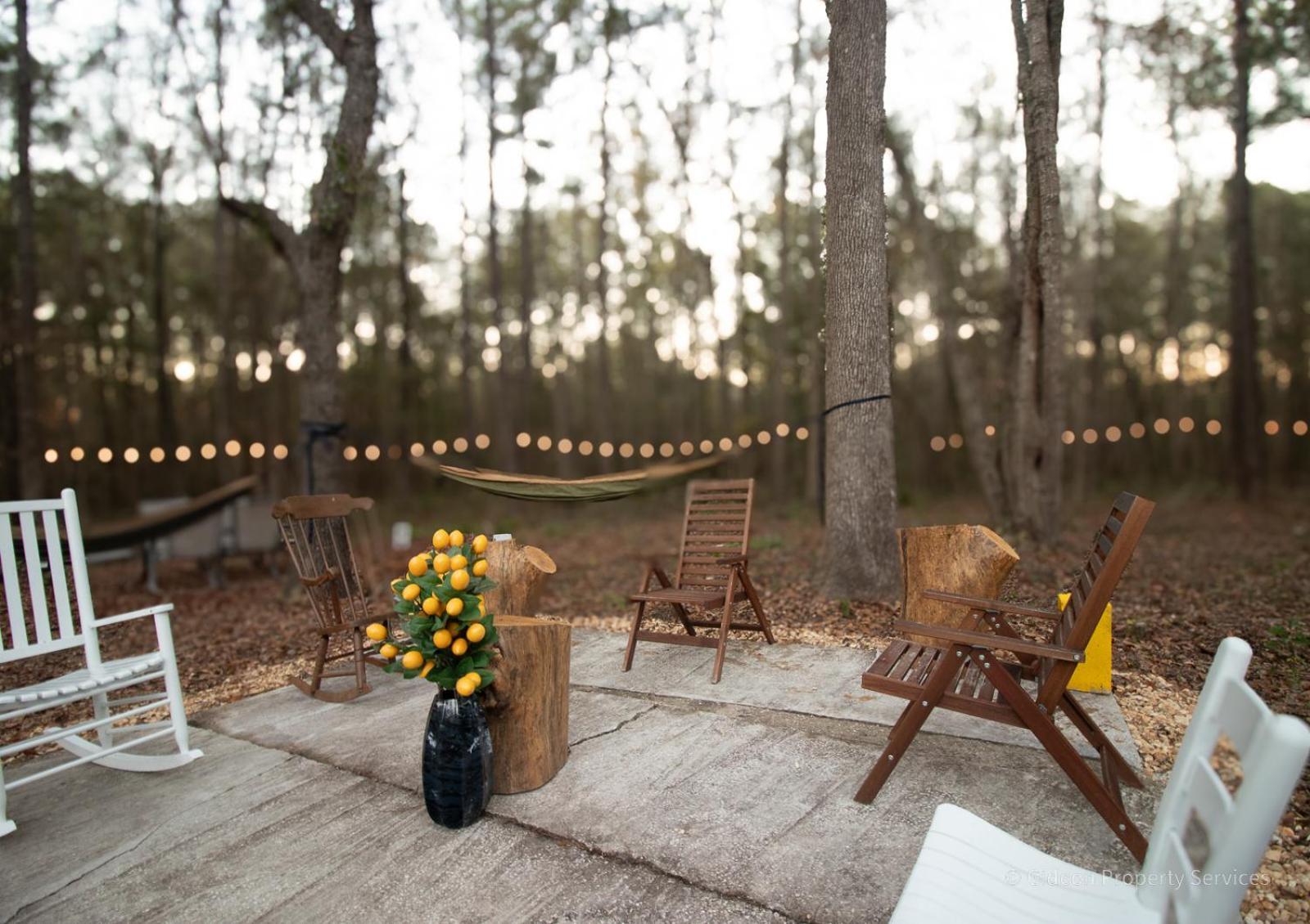 3/2 Uf Wooded Paradise Retreat เกนส์วิลล์ ภายนอก รูปภาพ